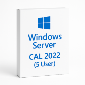 WINDOWS SERVER CAL 2022 (5 USER)